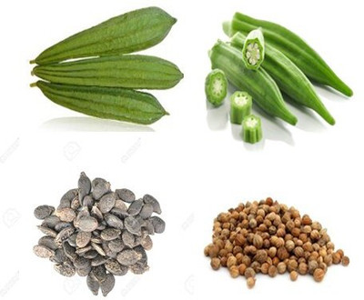 Aywal Bhindi and Ridge Gourd Seed(10 per packet)