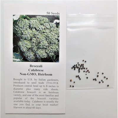 WILLVINE HUA -IX Broccoli Calabrese (Green) [1g] Seed(300 per packet)