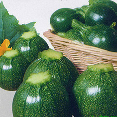 CYBEXIS Dark Green Early ripening Zucchini Seeds400 Seeds Seed(400 per packet)