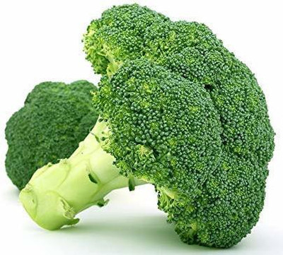 CYBEXIS NBIR-8 - Non Gmo Broccoli - (450 Seeds) Seed(450 per packet)