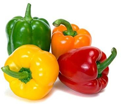 DIVINE CAPSICUM Seed(55 per packet)