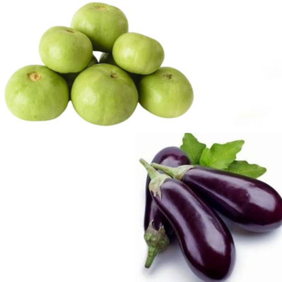 Garden Basket Hubb Mattar Begun pack of 2 Seed(100 g)