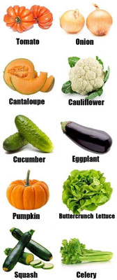 CYBEXIS Seeds for Planting Heirloom Seed(10 g)