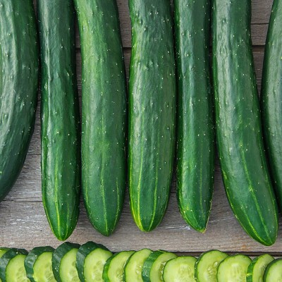 WHYGI Tasty Green Hybrid Slicing Cucumber Seed-CuC_1476 Seed(300 per packet)