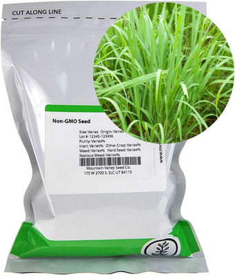 VibeX ® VMR-67 Lemon Grass Plant Repels Mosquitoes Seed(500 per packet)