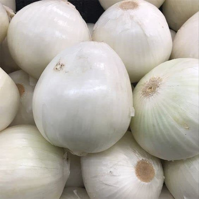 Aywal ONION Light White Seed(2000 per packet)
