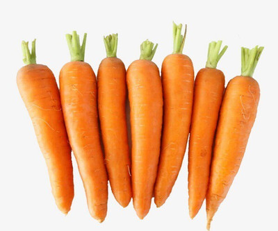 Quentova Orange Carrot Vegetable-3W-XLI Seed(200 per packet)