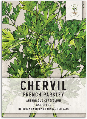 CYBEXIS XLR-91 - Chervil French Parsley - (750 Seeds) Seed(750 per packet)