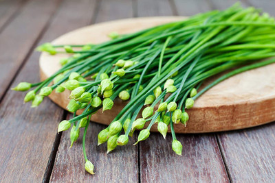 CYBEXIS GBPUT-95 - Garlic Chives (Allium tuberosum) - (2250 Seeds) Seed(2250 per packet)