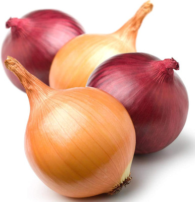 KNESSiN Onion UK Red & Brown Mixed Large[600 Seeds] Seed(600 per packet)