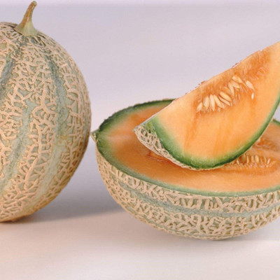 WILLVINE NBIR-264 Jumbo Cantaloupe Musk Melon Seeds Seed(200 per packet)