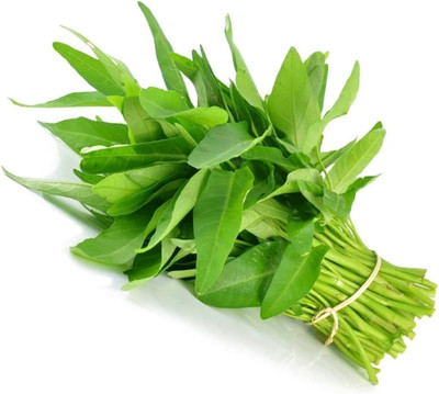 Infintegreen WATER SPINACH (KALMI SAAG) Seed(100 per packet)