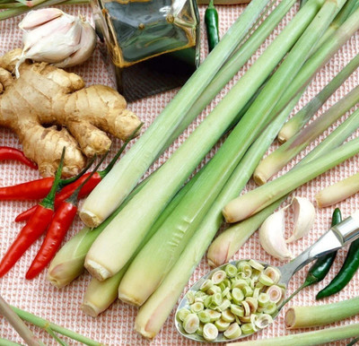 Quentova Lemon grass/लेमन ग्रास (Cymbopogon citratus)-CTU-5L Seed(25 per packet)