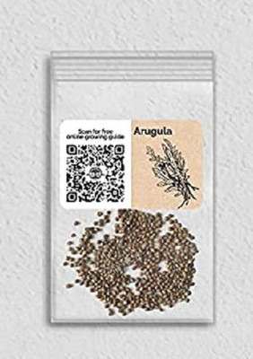 WILLVINE NDIR-121 Arugula Seed(200 per packet)
