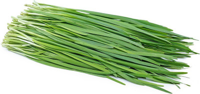 the green dotcom Garlic Chives Seed(60 per packet)