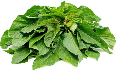 CYBEXIS Seeds of Amaranth Green Giant Callaloo Annual Vegetable2000 Seeds Seed(2000 per packet)