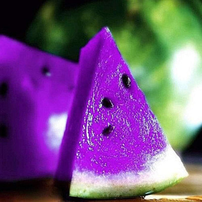 KNESSiN Sweet Fruit Mixed Color Watermelon [100 Seeds] Seed(100 per packet)