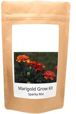 VibeX ® VMR-640 F1 French Marigold Seeds Seed(500 per packet)