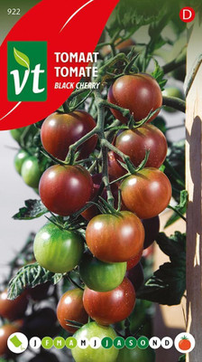Biosnyg Fast Growing Black Cherry Tomato Seeds for Kitchen Gardening - (4000 Seeds) Seed(4000 per packet)