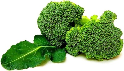 KNESSiN DLH-10 Broccoli Seed(500 per packet)