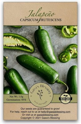 Qualtivate PUA-3A Jalapeno Pepper Seed(300 per packet)