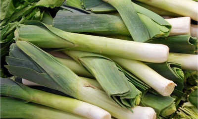 CEZIUS Leek - Golem - Allium Porrum Seed(100 per packet)