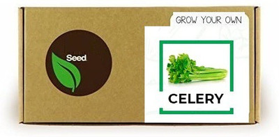 CYBEXIS Celery700 Seeds Seed(700 per packet)