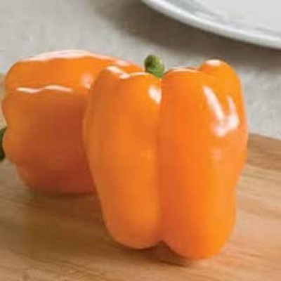 Aro Orange Capsicum, Capsicum, Bell Pepper Seed(31 per packet)