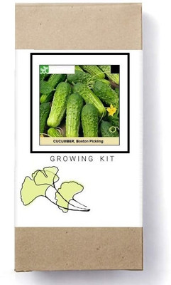 Biosnyg Boston Pickling Cucumber[500 Seeds] Seed(500 per packet)