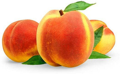 KANAYA Peach Fruit (Aadu) Fruit Seed(8 per packet)