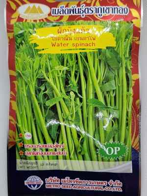 CYBEXIS GBPUT-10 - Water Spinach - (2250 Seeds) Seed(2250 per packet)