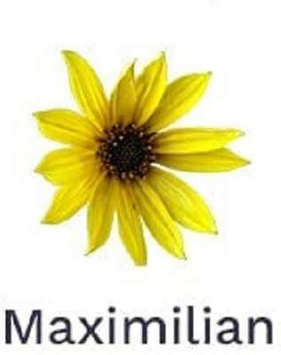 Qualtivate PUAS-8A Maximilian Sunflower Seeds Seed(200 per packet)