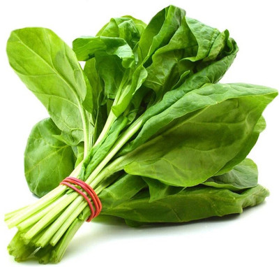Cloud Farm Spinach Seed(40 per packet)