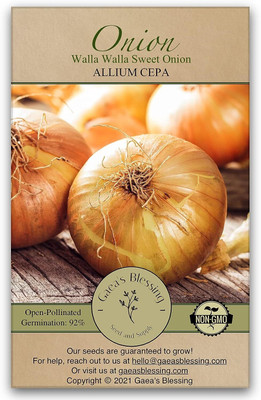 WILLVINE AMR -XIII Walla Walla Sweet Onion Seeds [2.5g] Seed(1500 per packet)
