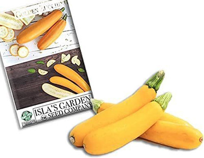 VibeX NDIR-85 - Golden Zucchini Summer Squash - (675 Seeds) Seed(675 per packet)