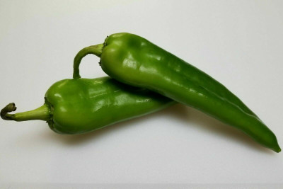 granthi Pickled Chilli Pepper Seeds Seed(1800 per packet)