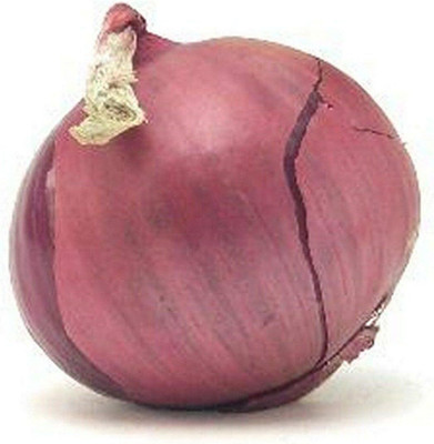 Qualtivate XXX-8A Red Round Onion Seeds Seed(500 per packet)