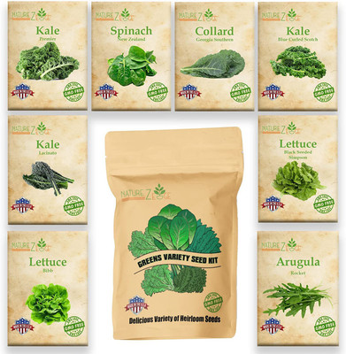 CYBEXIS Lettuce Mix Greens Seeds, 8 Varieties Seed(10 g)