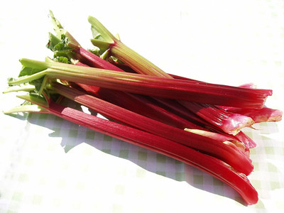 CYBEXIS Victoria Improved Rhubarb Seeds2000 Seeds Seed(2000 per packet)