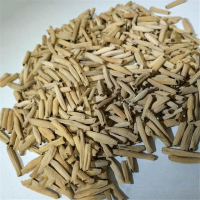 Qualtivate PUAS-472 Adenium Desert Rose Seeds Seed(30 per packet)