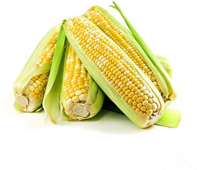 Aywal Sweet Corn, Bhutta Seed(600 per packet)