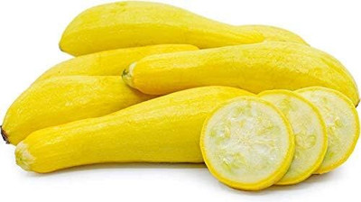 Qualtivate RES-3A Yellow Straightneck Summer Squash Seed(30 per packet)