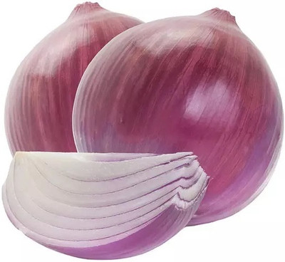 Quentova Red Onion Vegetable Onions-VIC-8V Seed(200 per packet)