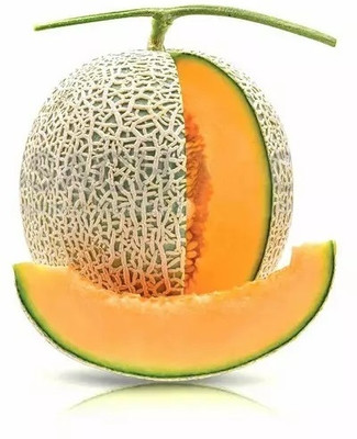 Quentova Musk Melon/ Cantaloupe/ Hami melon-HUA-7Y Seed(100 per packet)