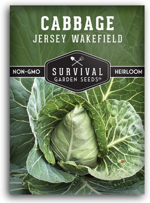 WILLVINE KGF -VIII Jersey Wakefield Cone-Shaped Cabbage [2.5g] Seed(750 per packet)