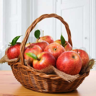 XOLDA Apple fruit Seed(20 per packet)