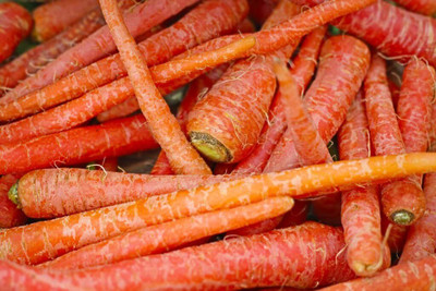 Aywal Gajar Hybrid Vegetable Seed(4000 per packet)