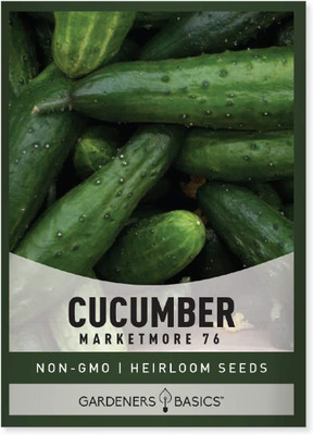 VibeX GUA-49 - Cucumber - Marketmore 76 - (1350 Seeds) Seed(1350 per packet)