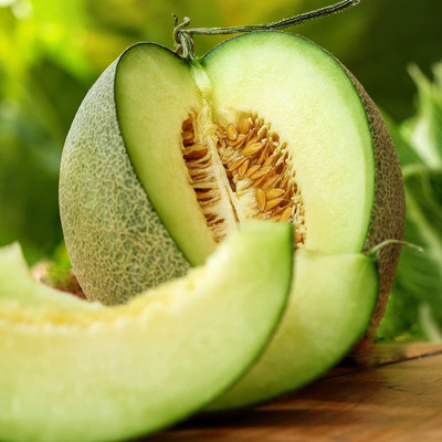 WILLVINE PAU-420 Honeydew Musk Melon Seed for Planting Seed(200 per packet)