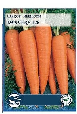 CYBEXIS Danver Carrot Seeds4000 Seeds Seed(4000 per packet)